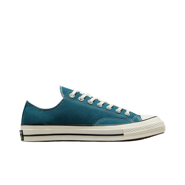 Seasonal Color Canvas Ox