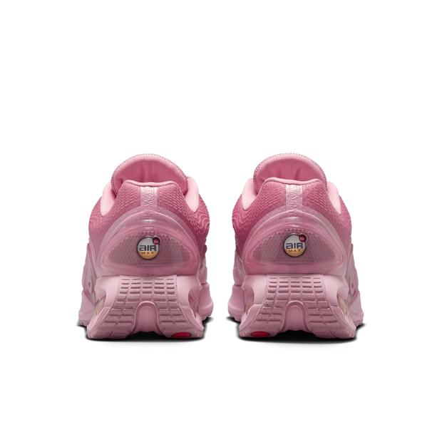 Air Max DN (W)