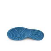 Dunk Low University Blue